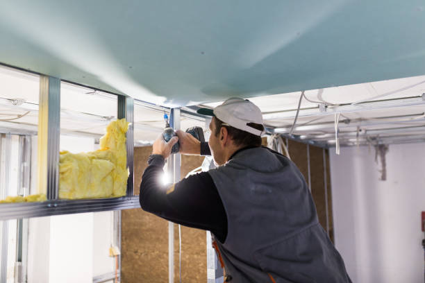 Best Insulation Maintenance and Repair in San Leon, TX