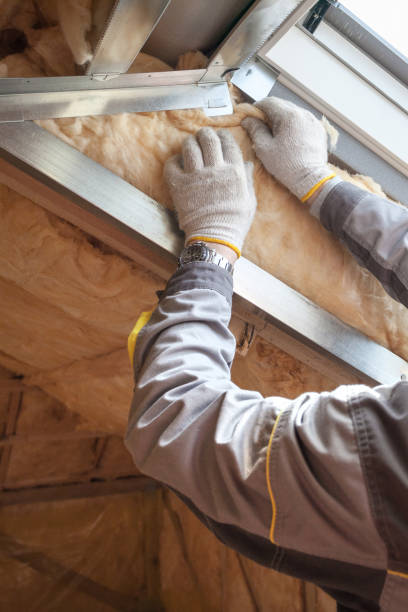 Best Insulation Installation Services in San Leon, TX