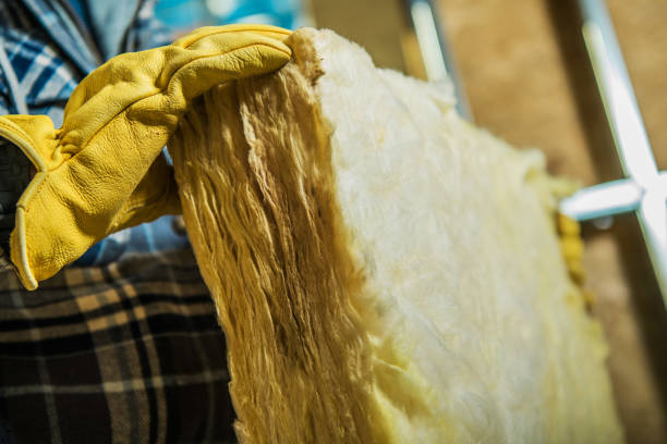 Best Insulation Materials and Products in San Leon, TX